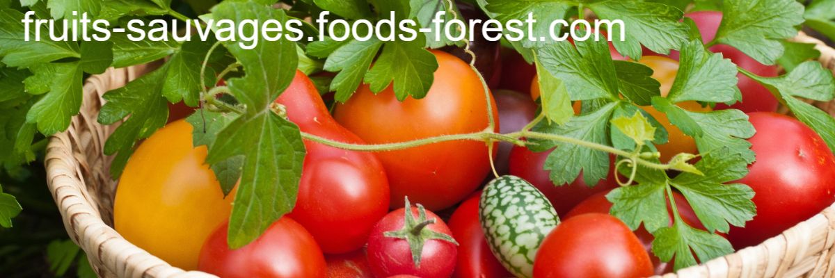 fruits-sauvages.foods-forest.com